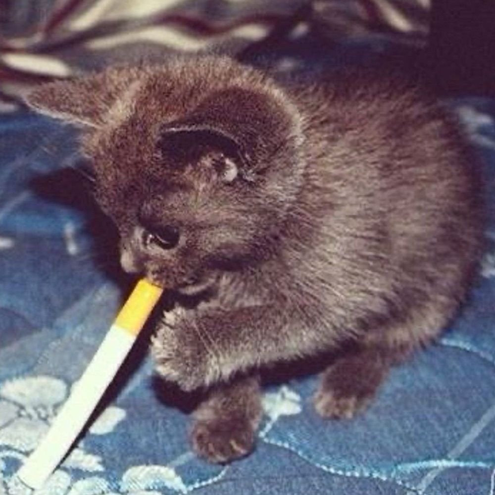 🚬