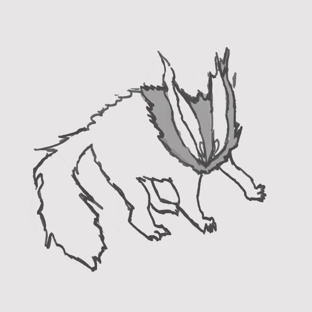 Hirshi