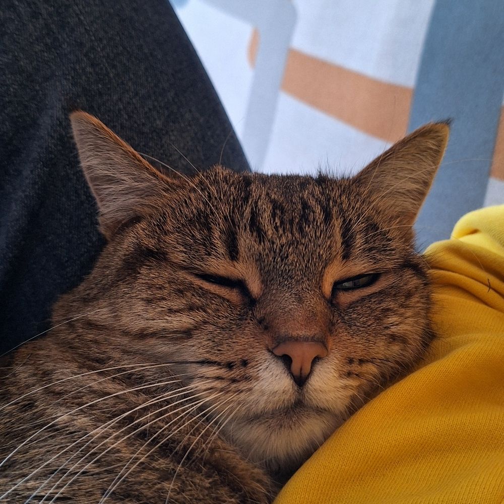 Diego