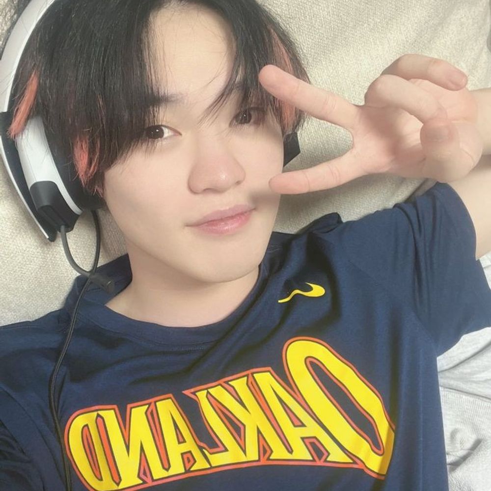 Alvinn • fllback