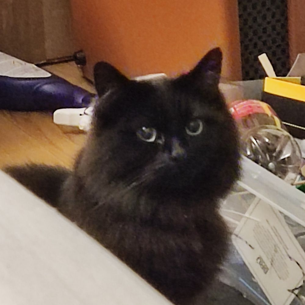 Merlin