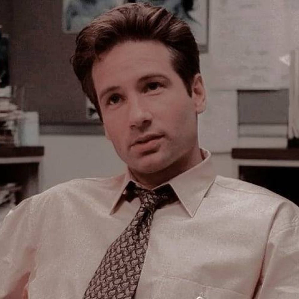 scully you’re not gonna believe this