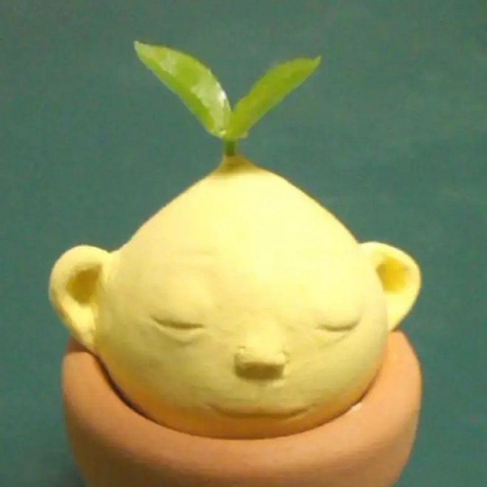 Kyu🌱きゅうこんのねっこ