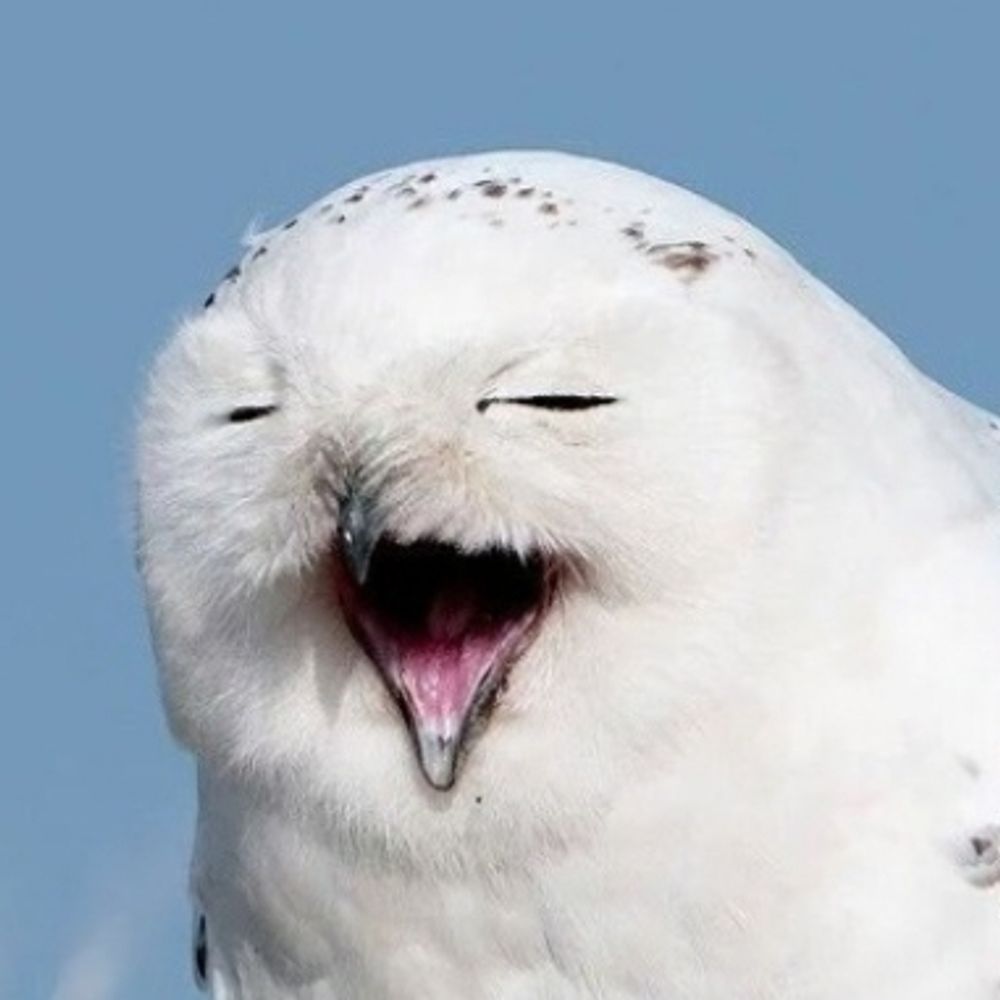 밋뜨