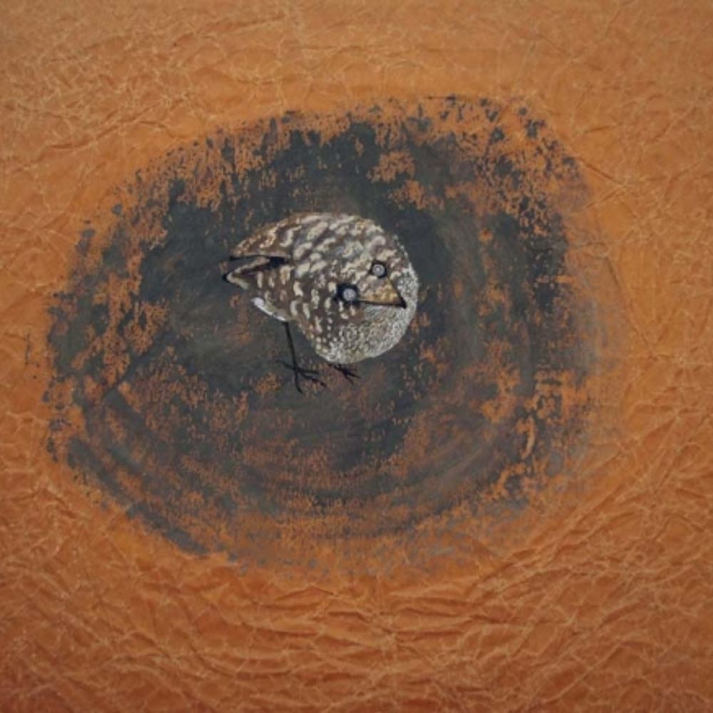 Stephen Cammack