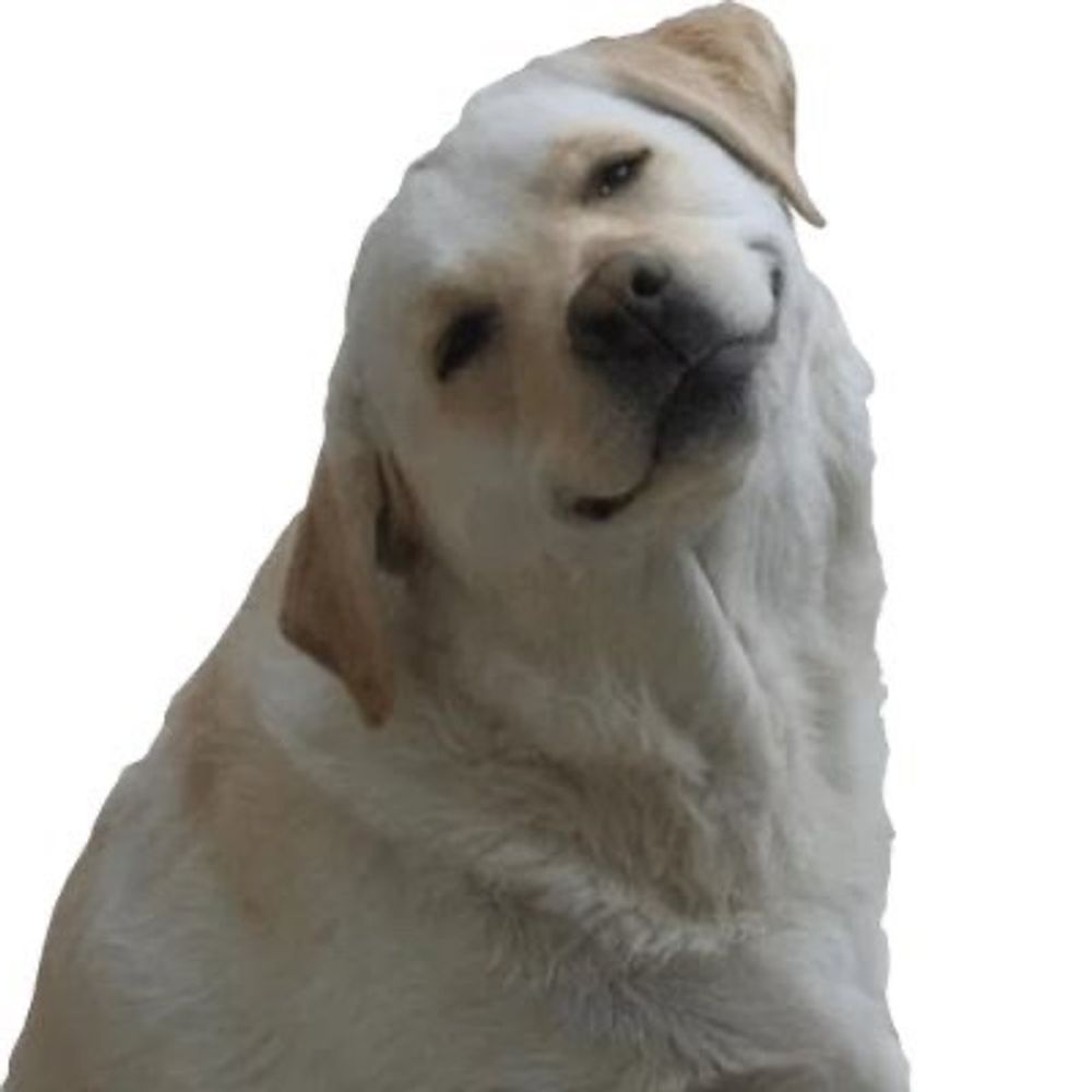 Angry gweipo