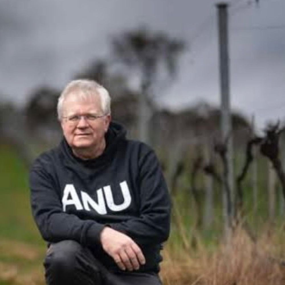 CosmicPinot