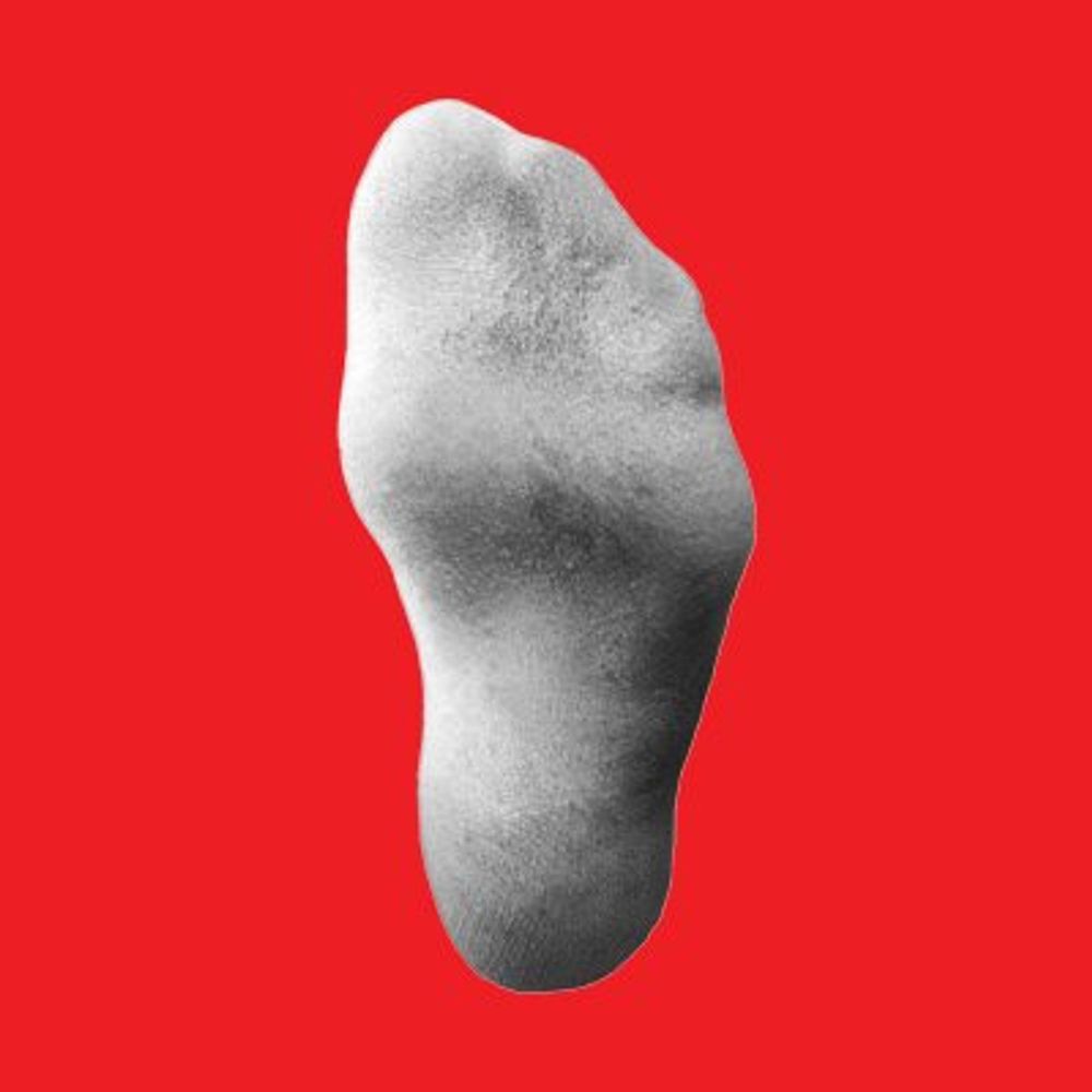 NSNS (NOSOXNOSEX)