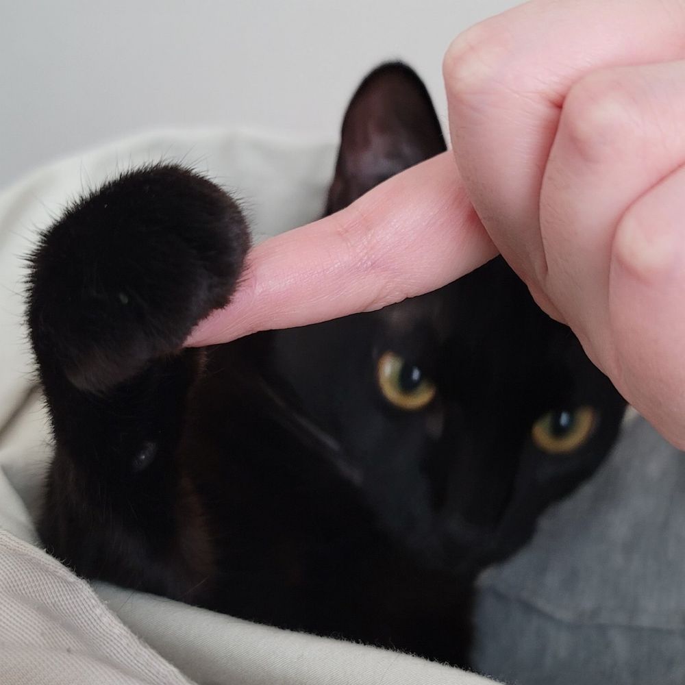 지우