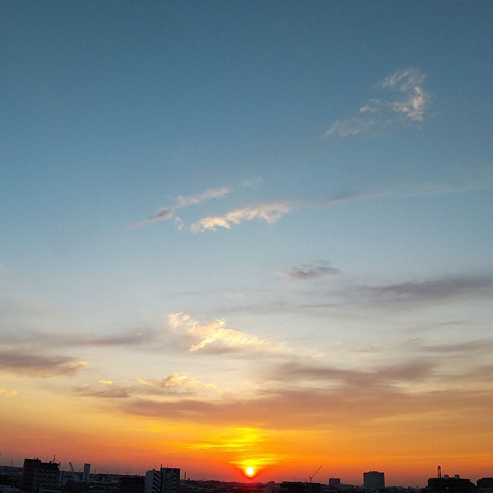 小倉1240
