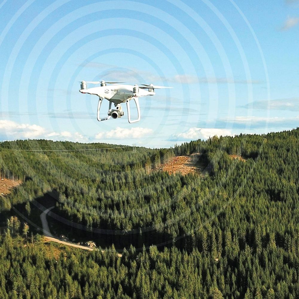 SmartForest4.0