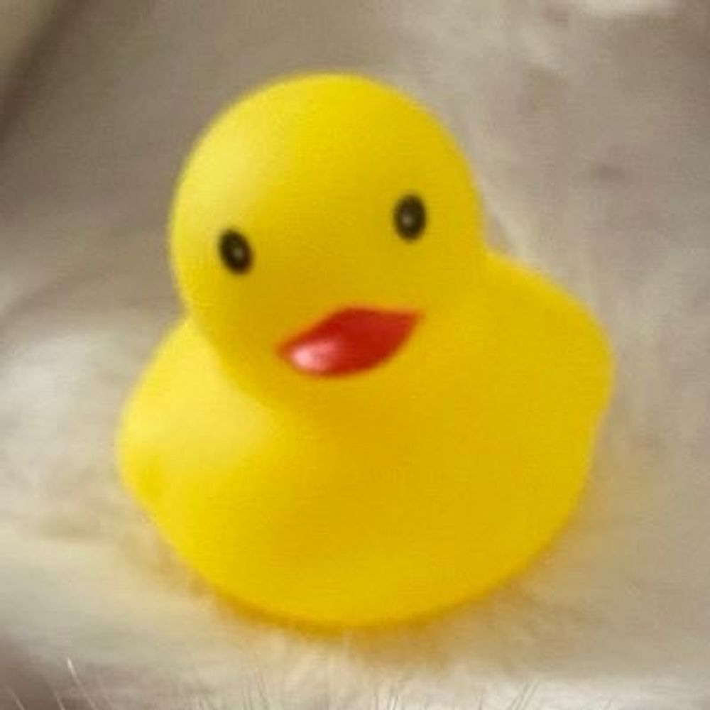 えりっさ🐤🐥@モデ活('-' 鮭)з