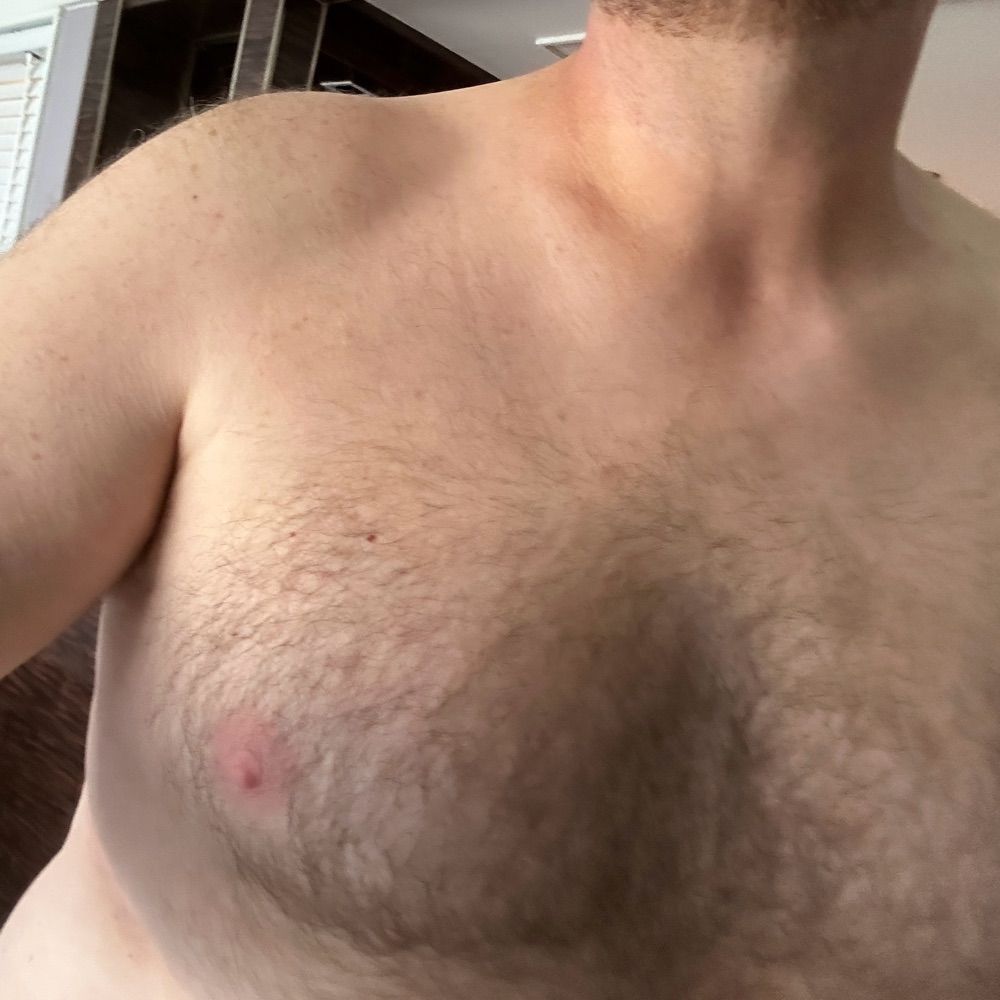 Bear top