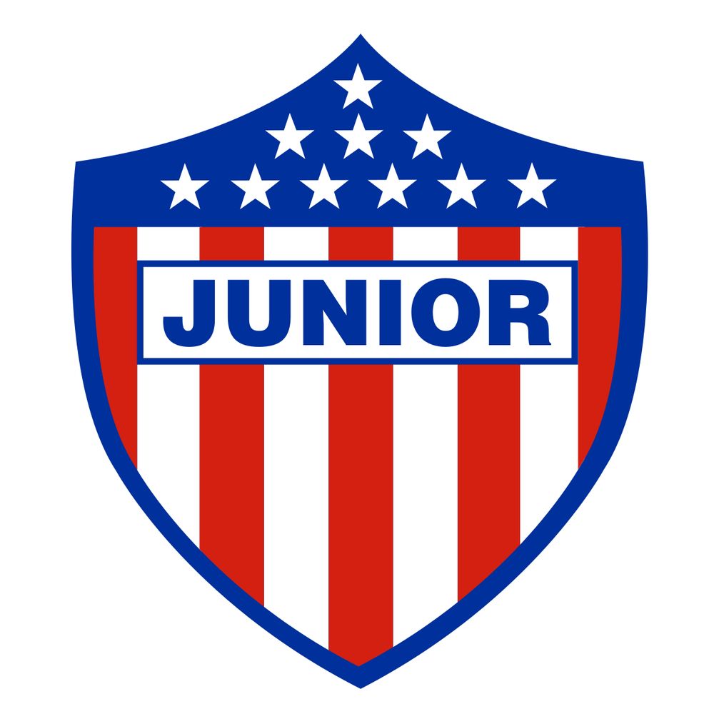 SEGUIDOR DE JUNINHO 