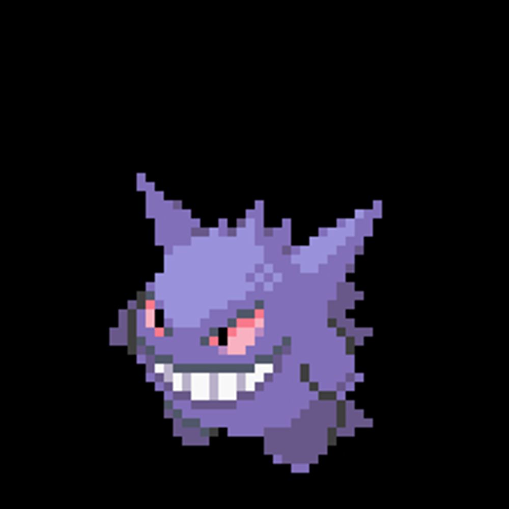 Daily PocketMonster