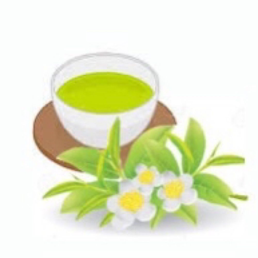 茶花