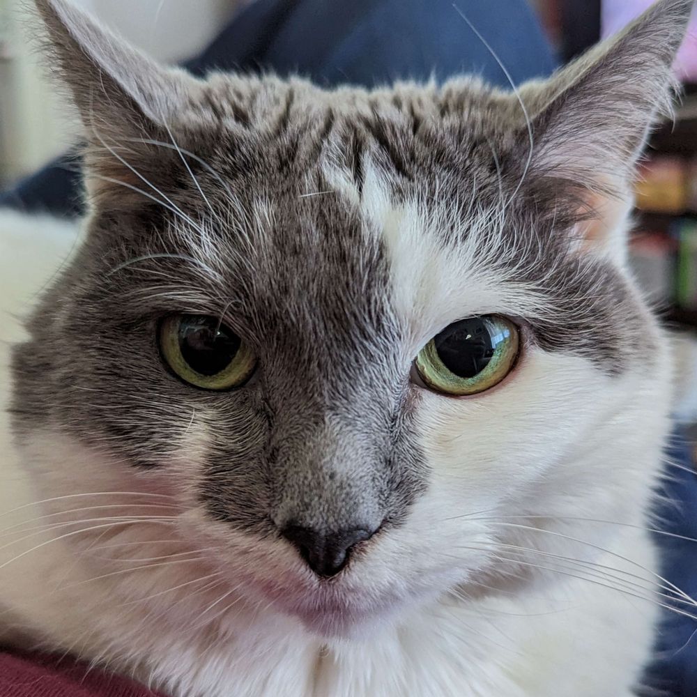 Bob