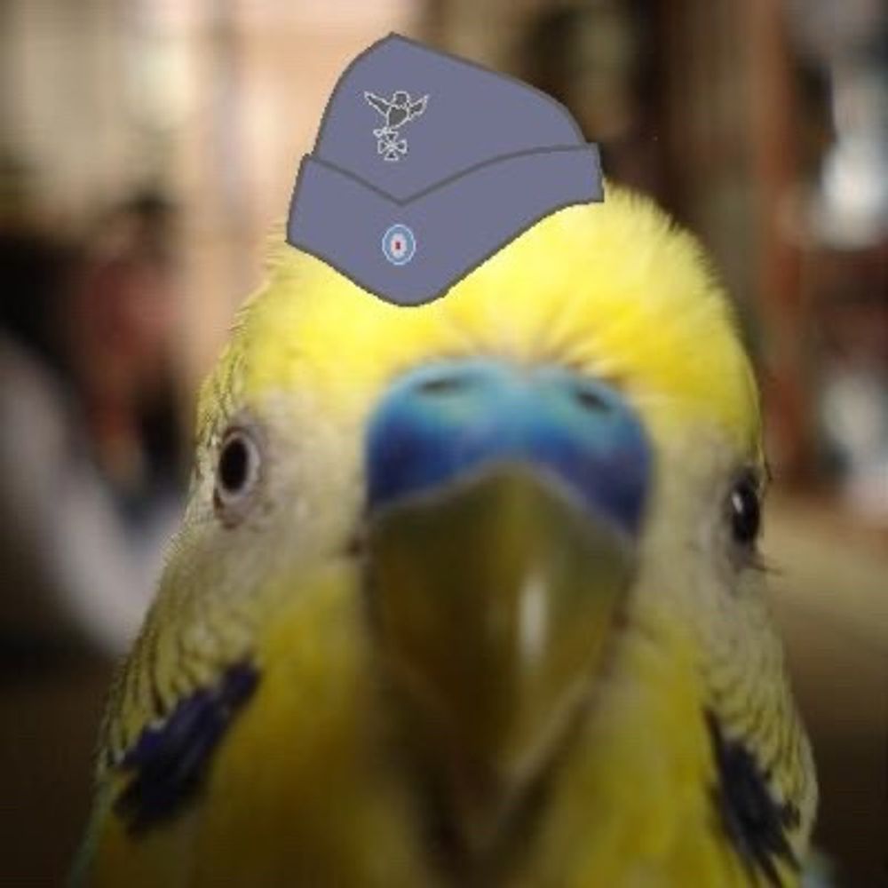 K斗