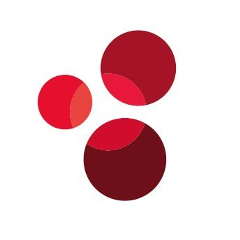 Global Cities Hub