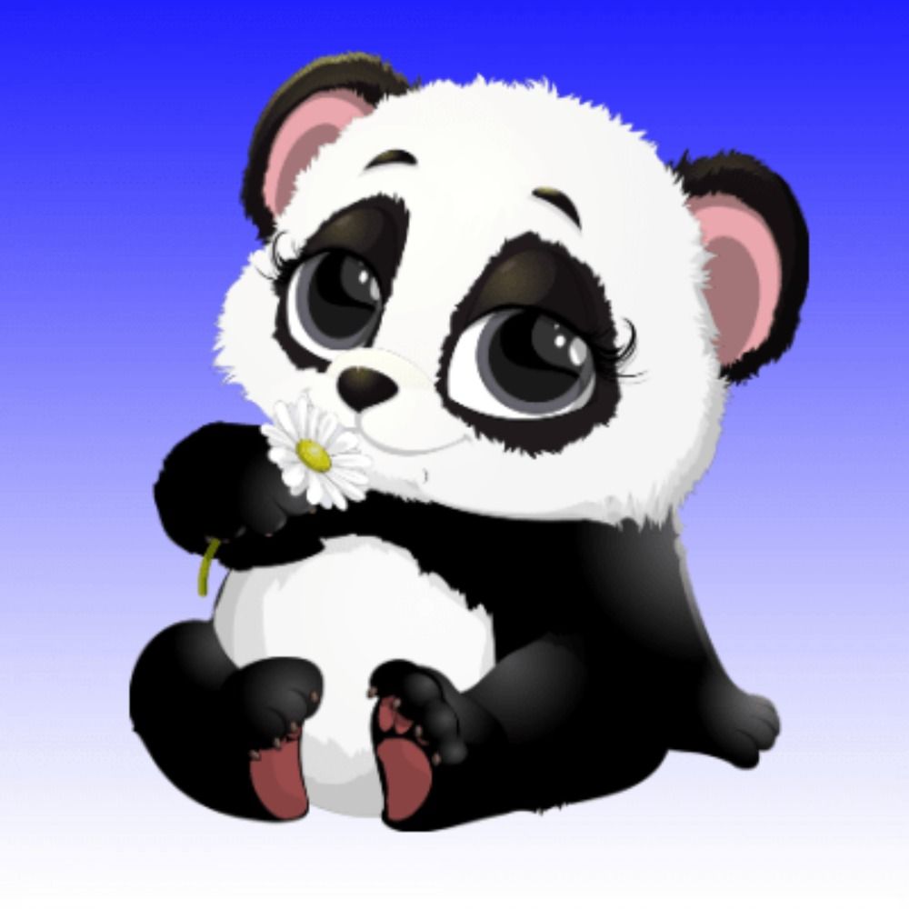 Pernickety Panda