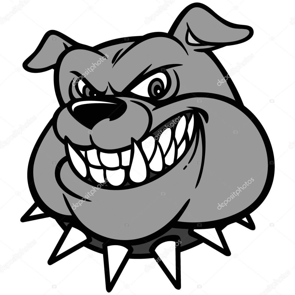 Naperville City Council Watchdog