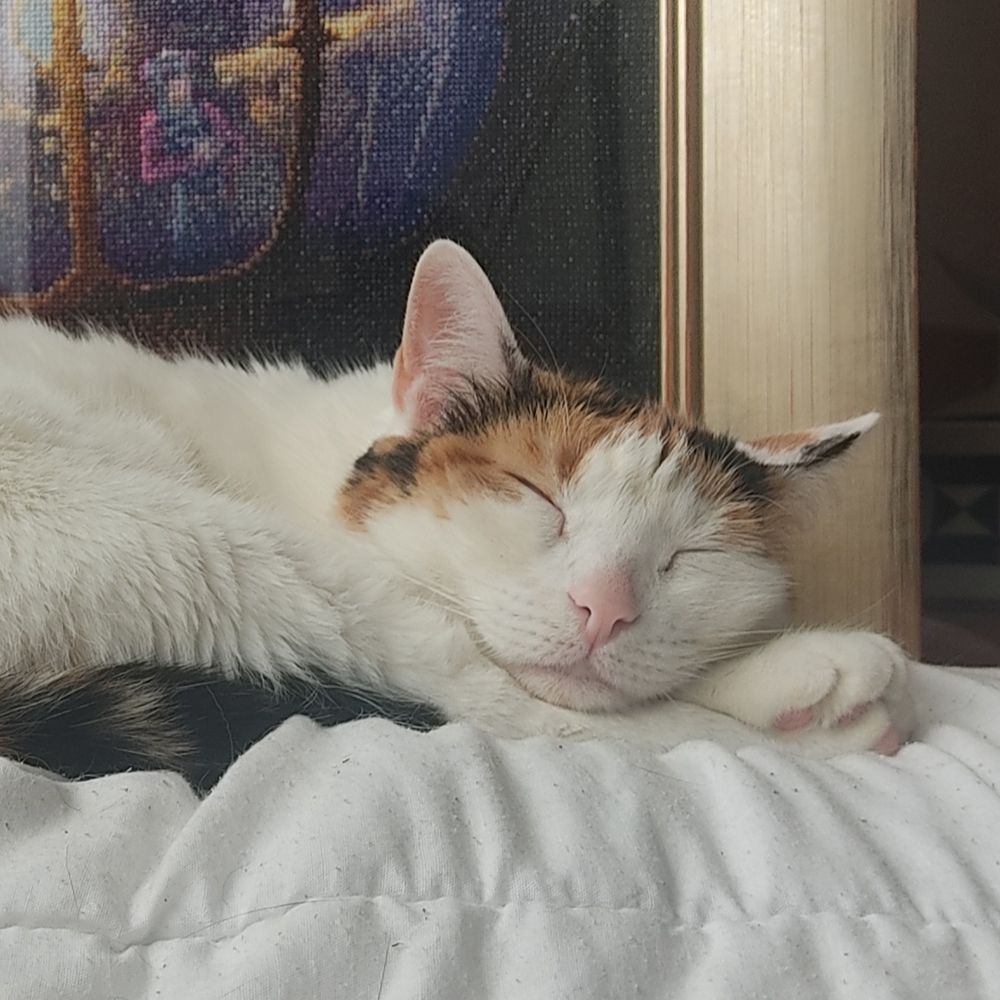 Freya