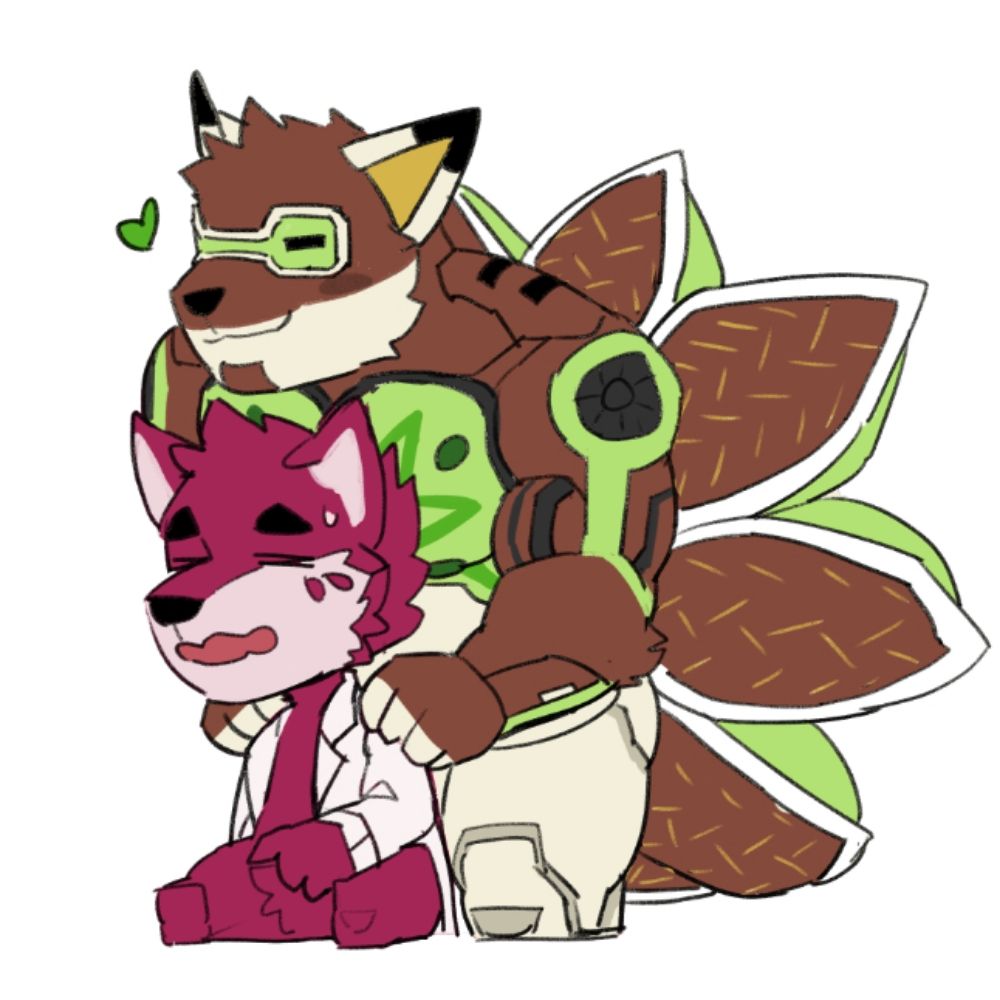 노우