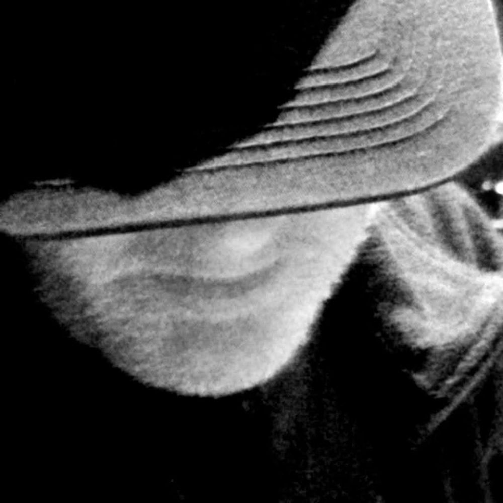 Wayne F.