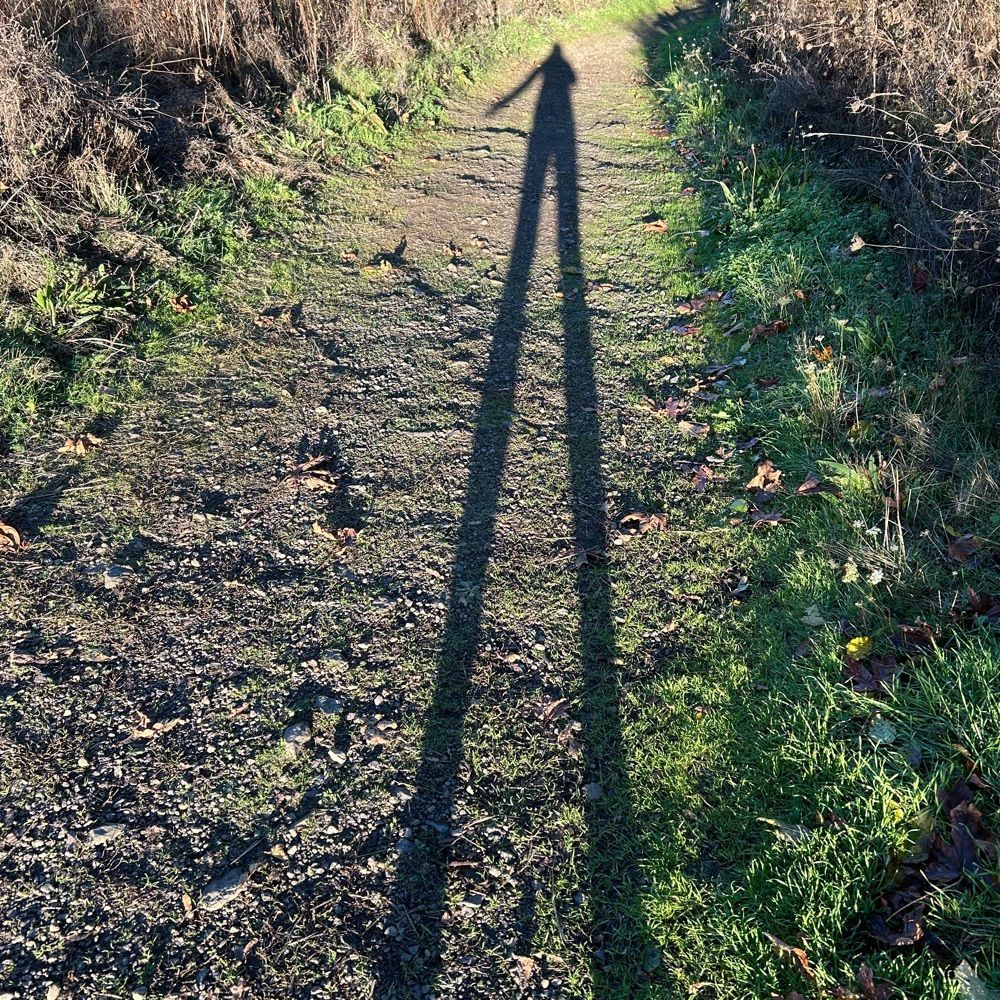 Lisa Perrin