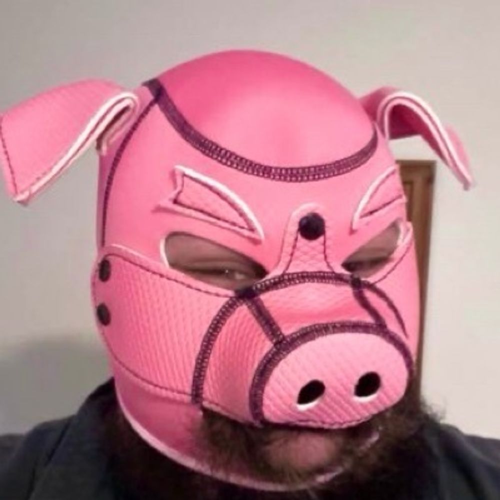 Piggy