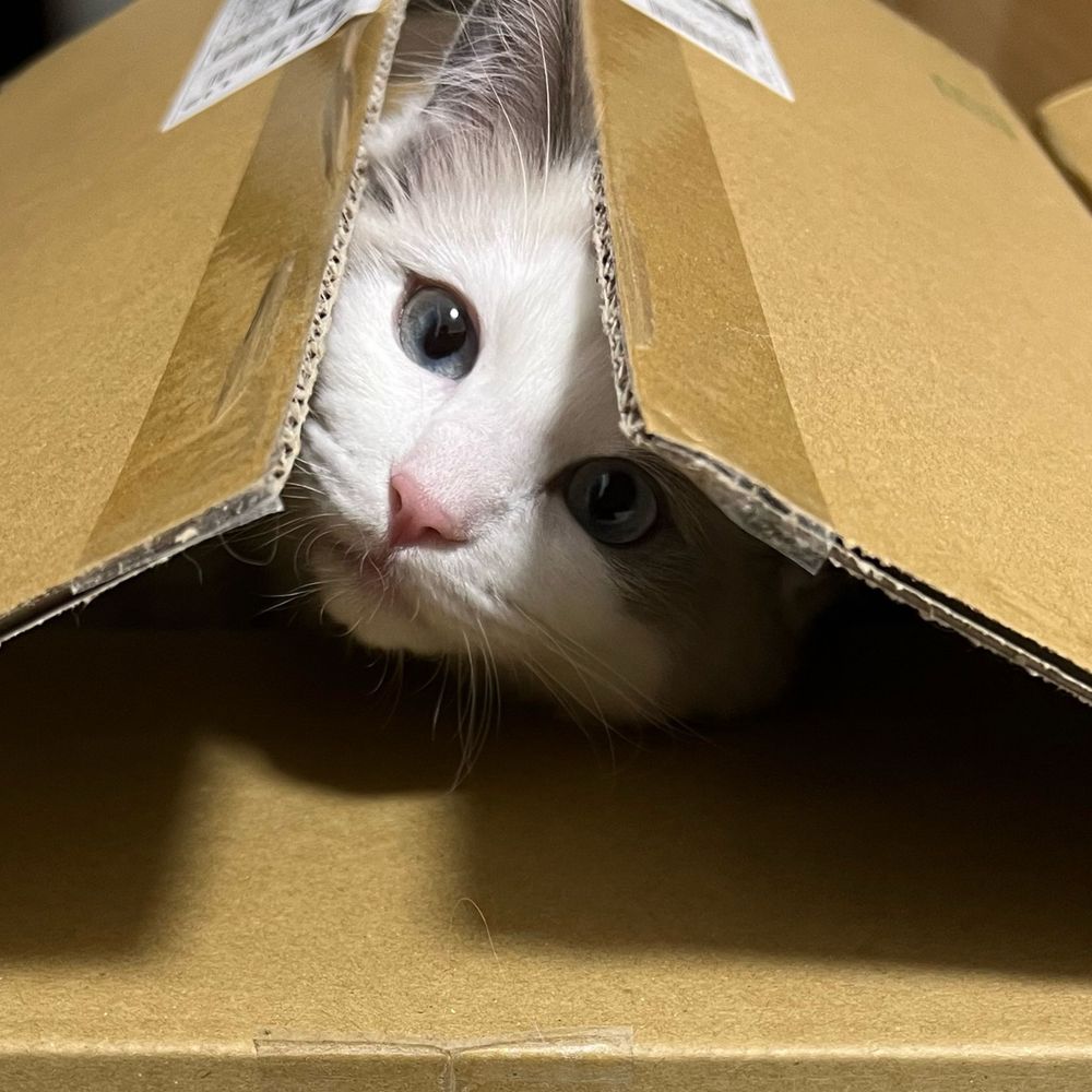 おりか