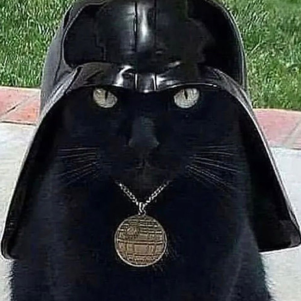 Moki