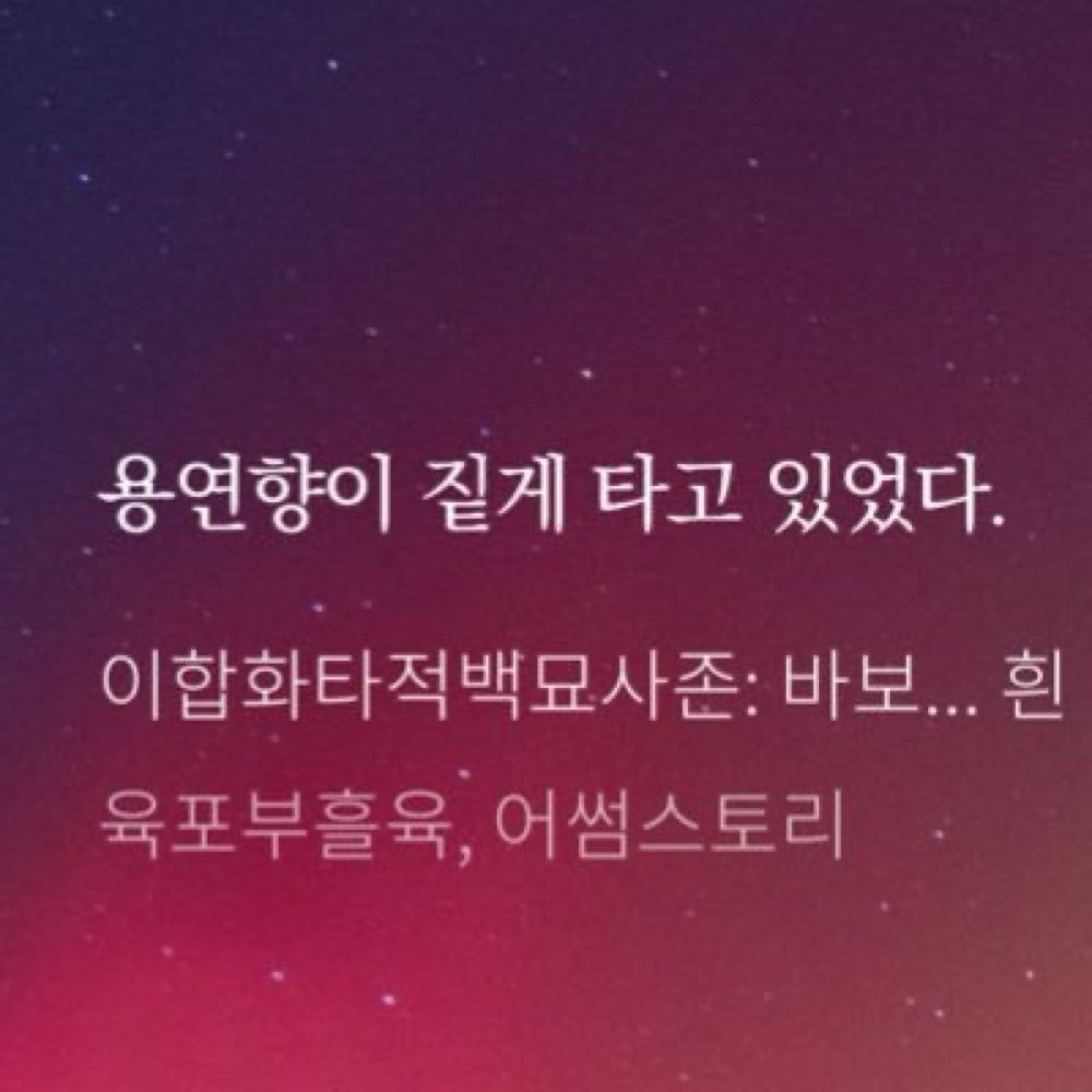 뇽녕냥