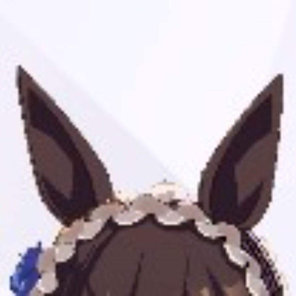シラタキ