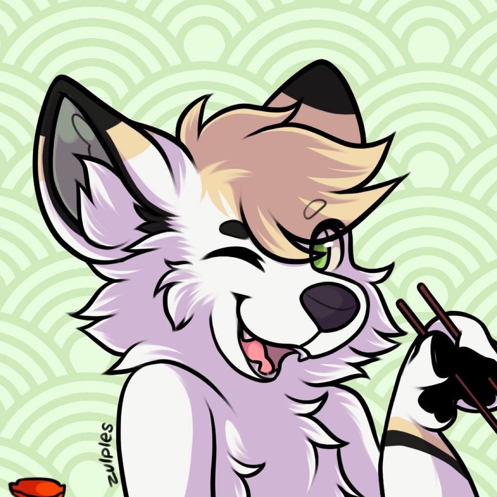 Kit the foxtor doctor