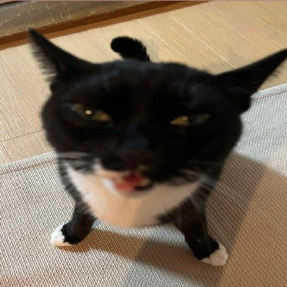 [ l u n a ]