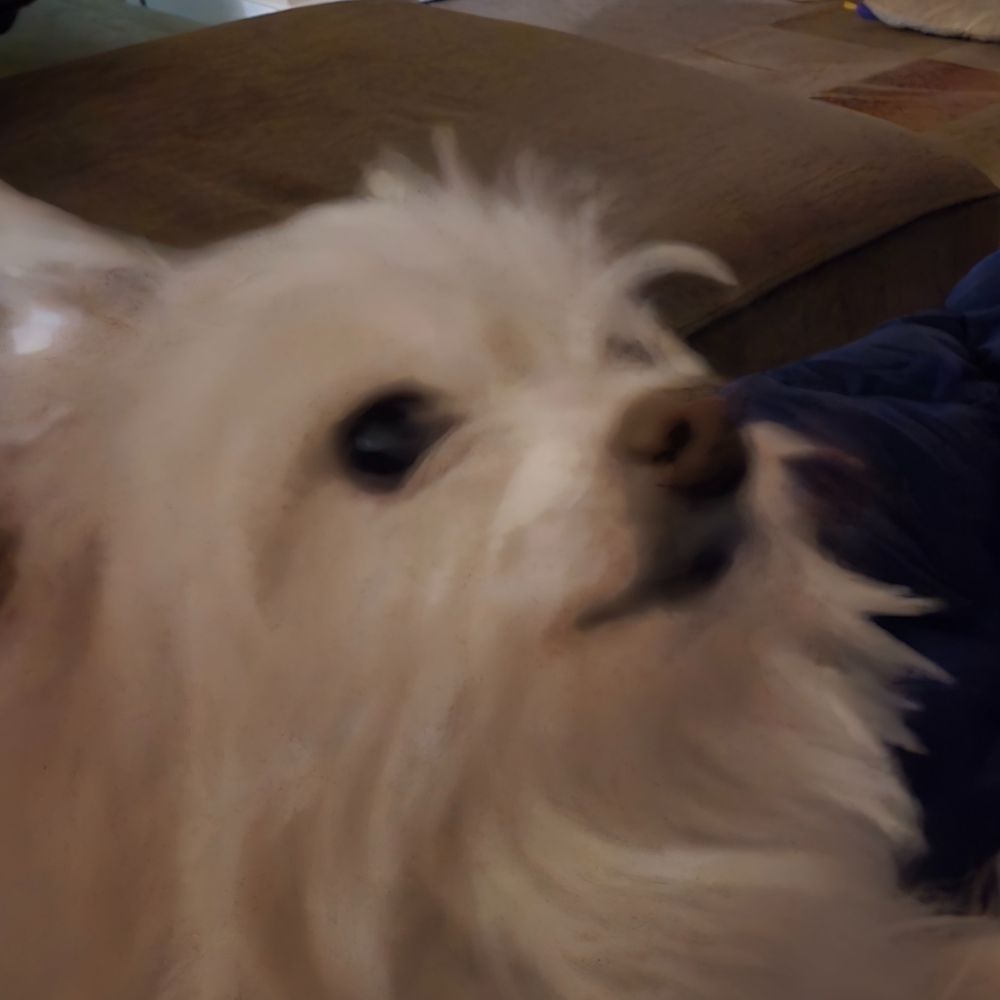 Mom to Peanut