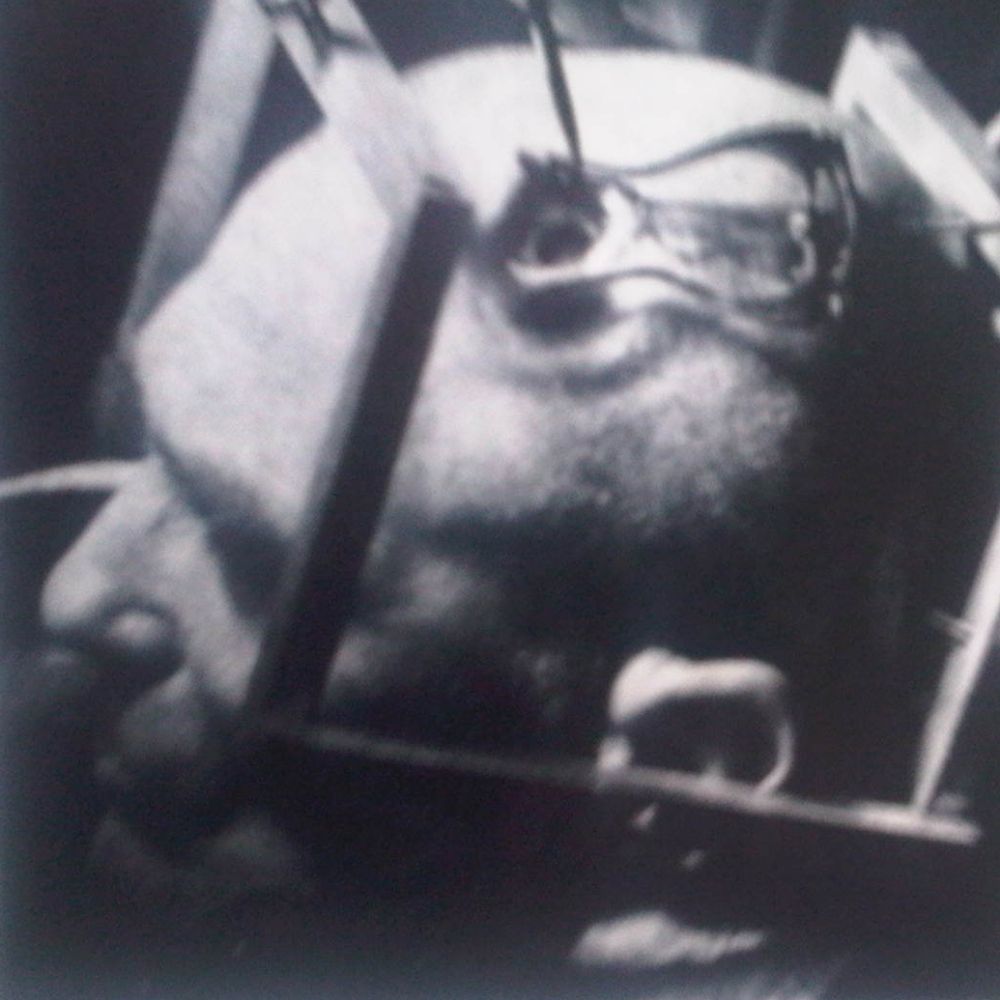nick van der ham