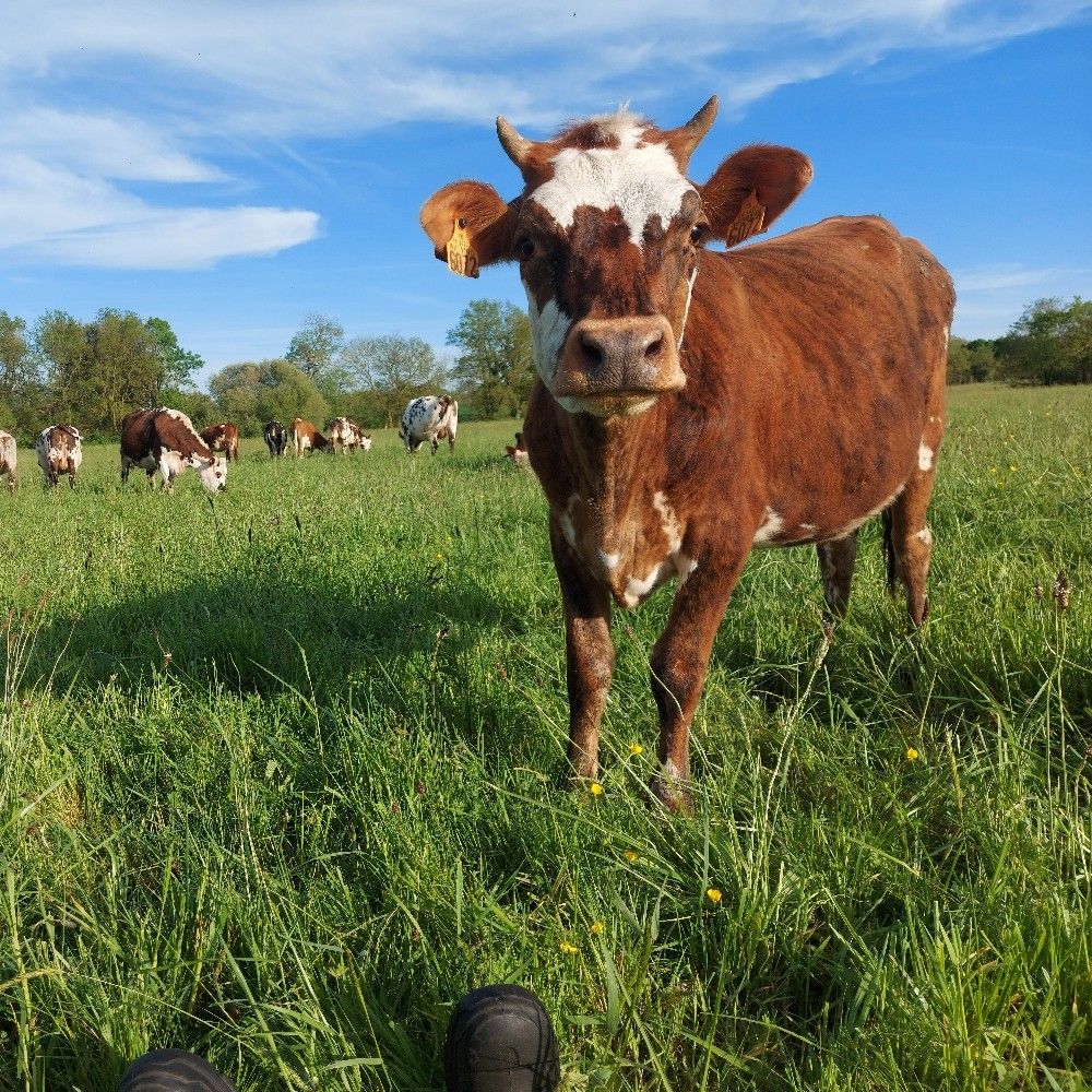 La Ferme de Grand Lieu