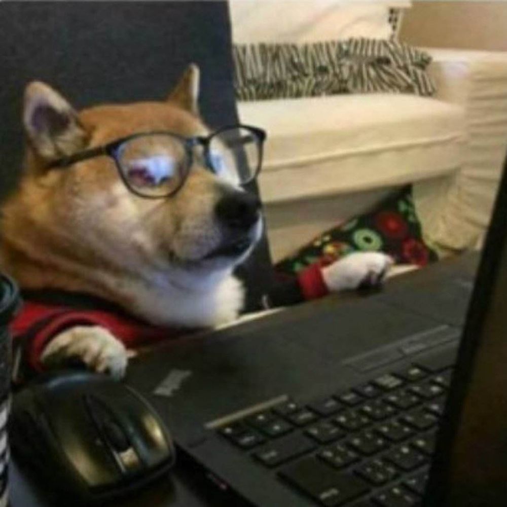 Sire doge