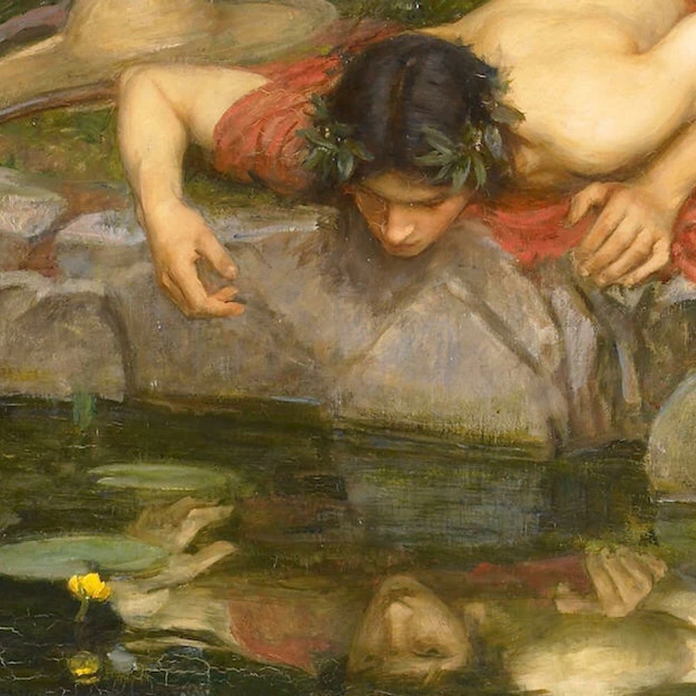 narcissusnoel