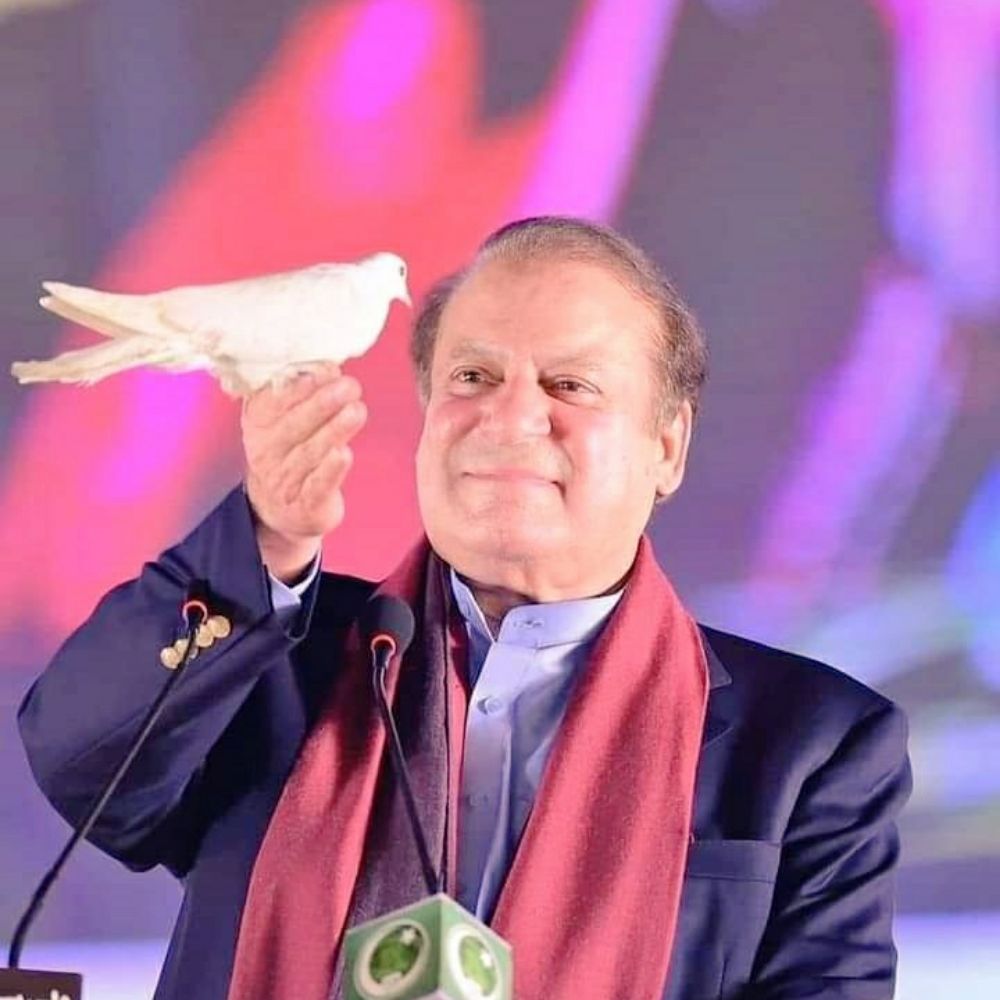 Pmlnarmy13