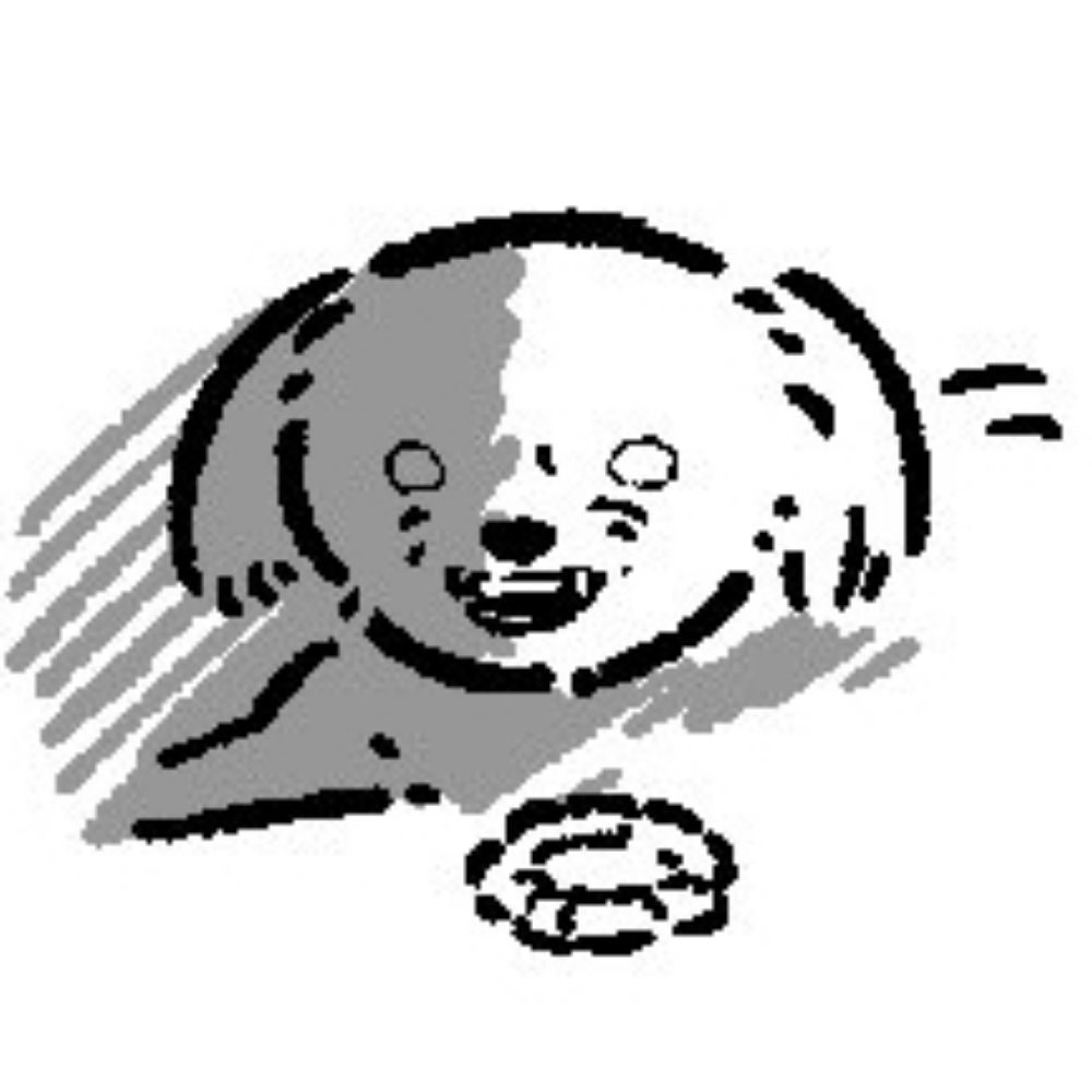 와와
