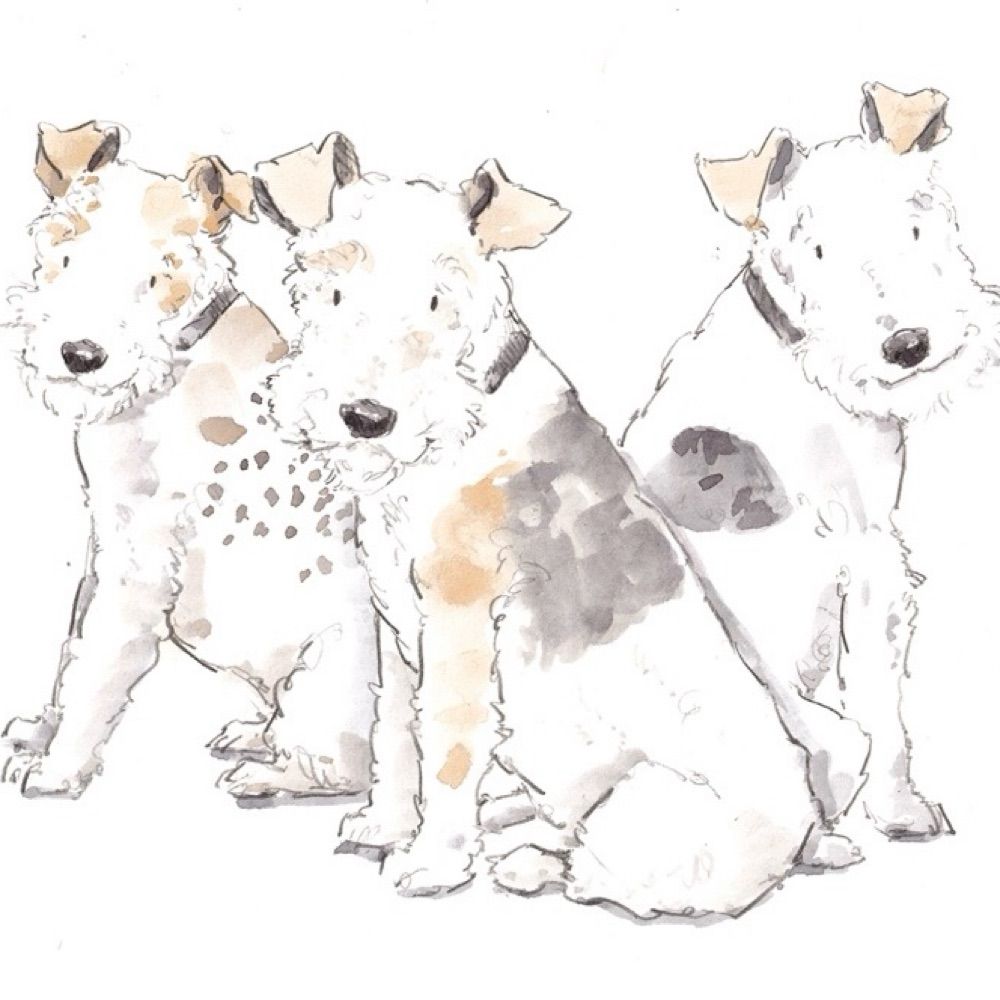 Charles And Diana (Fox Terriers)