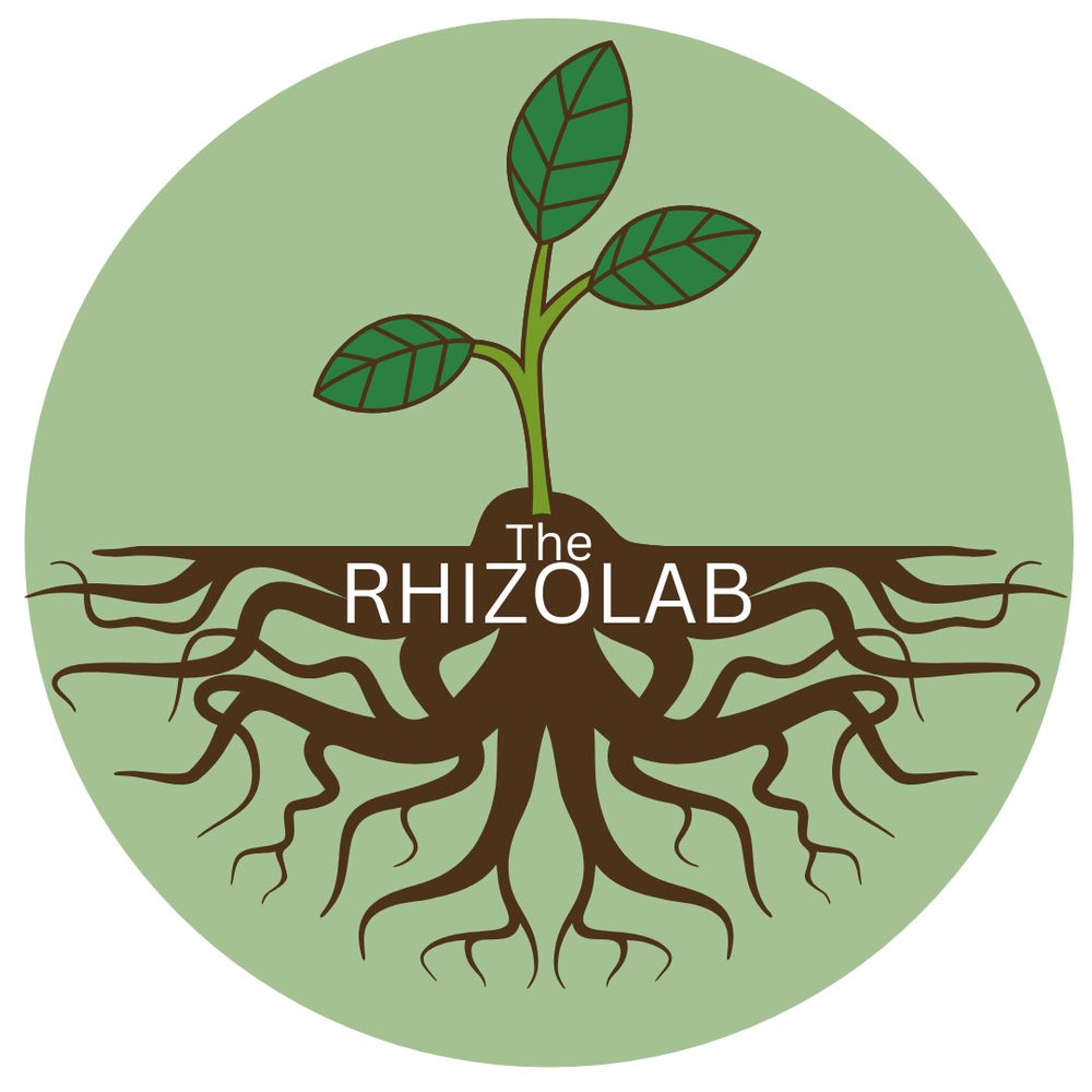 The RhizoLab