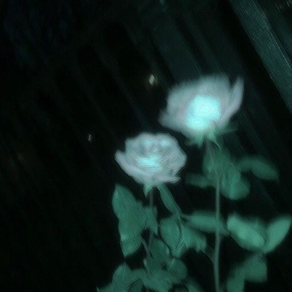 •☆° Ane °☆•