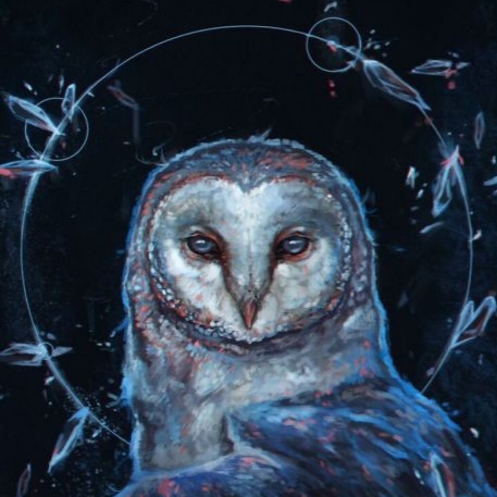 Tulu the owl 🌙