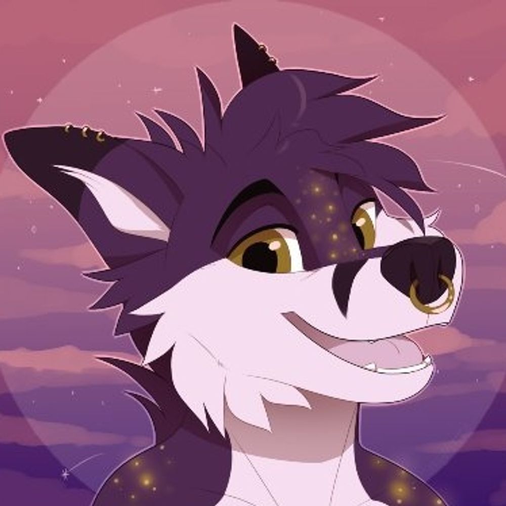 Nova ✨🌙