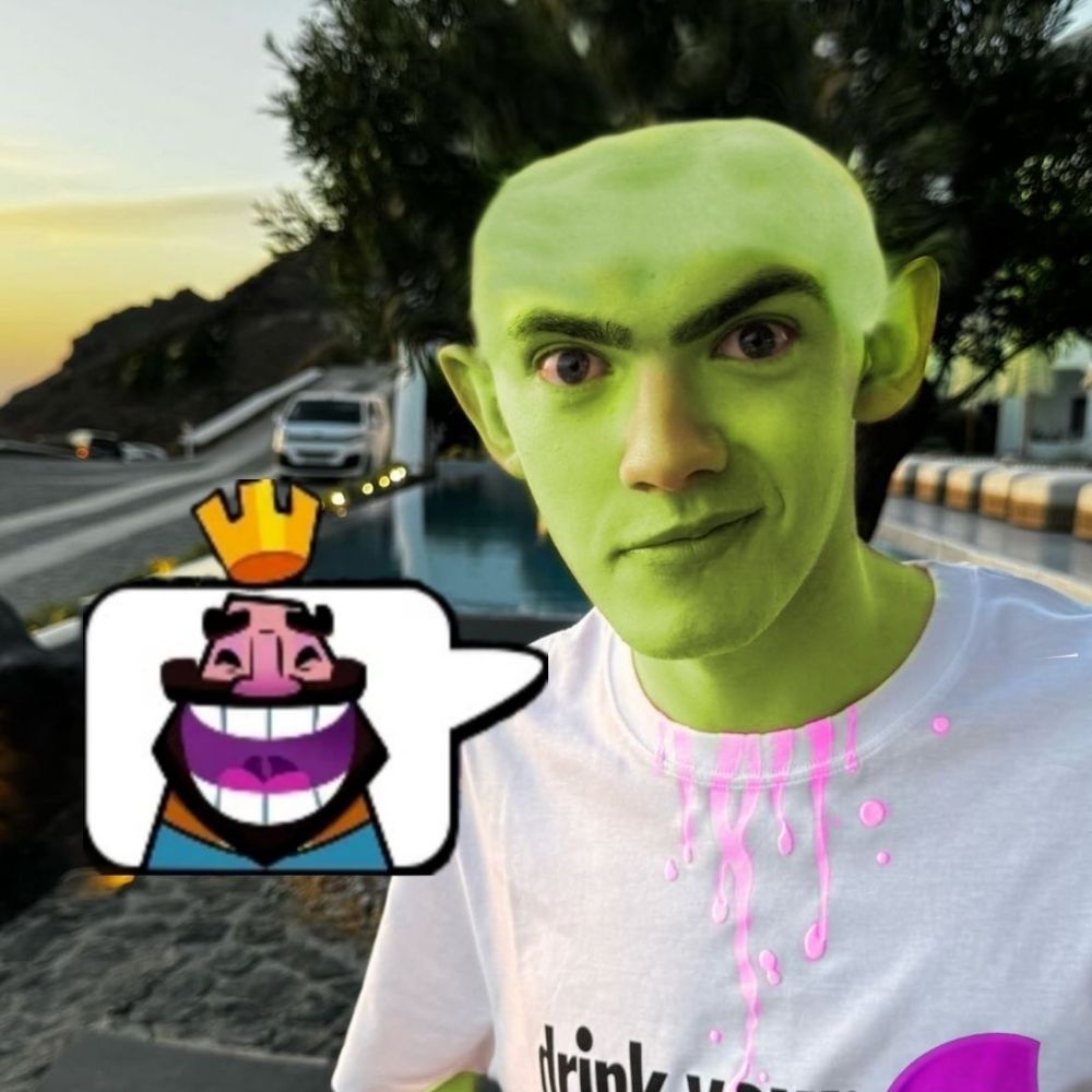 Alssmerino