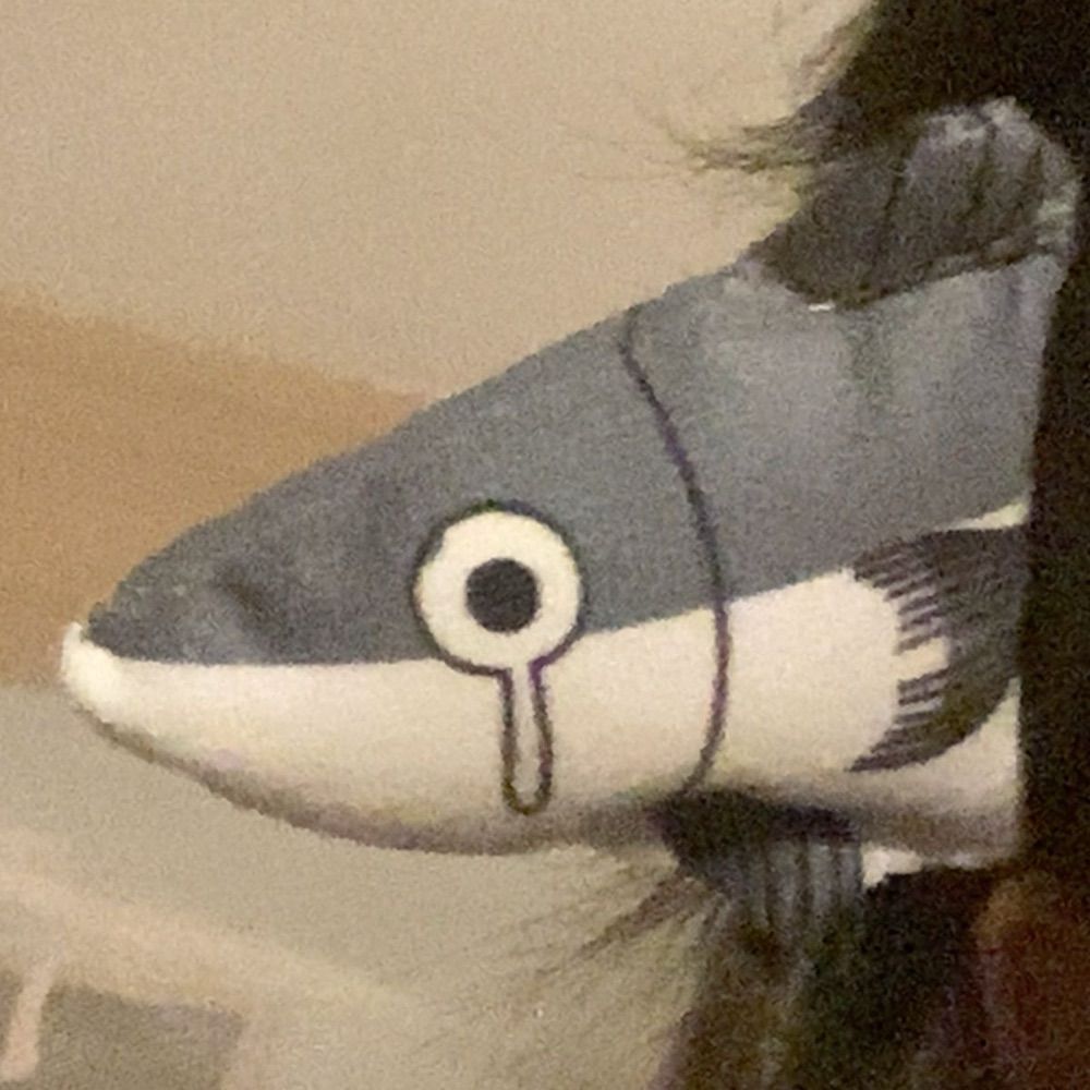 Fjsh